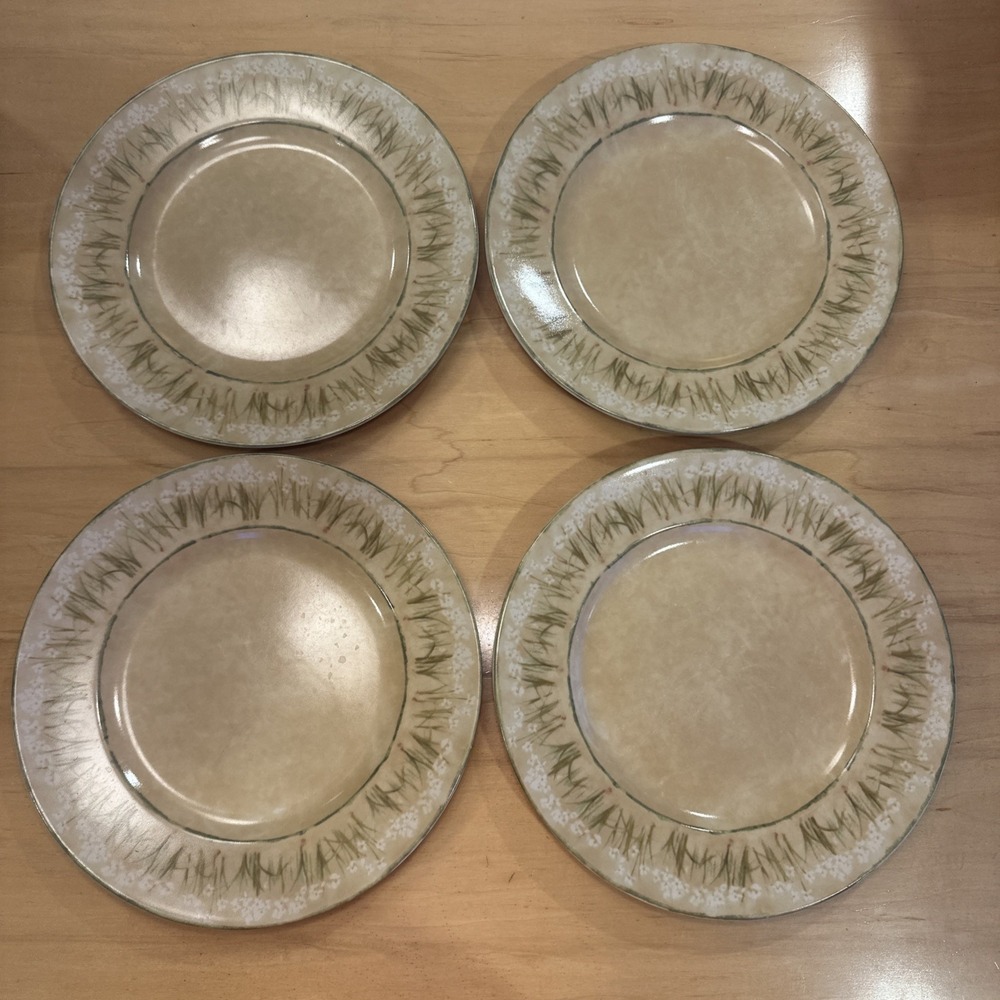 Cheri Blum for 222 Fifth (4) Narcissus Dinner Plates Stoneware‎  10.5" Floral